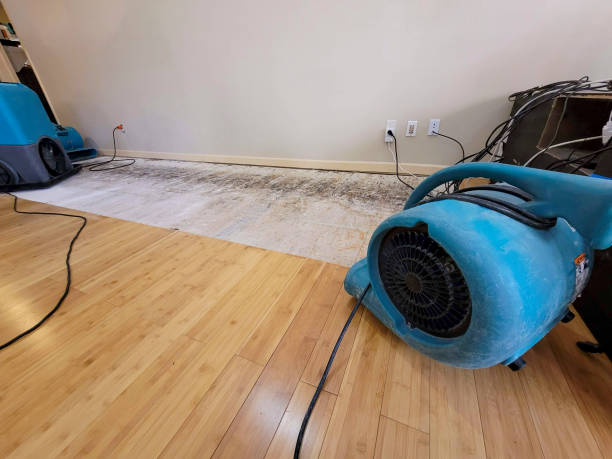 Professional Basement Flood Cleanup technician working in Ottsville, PA